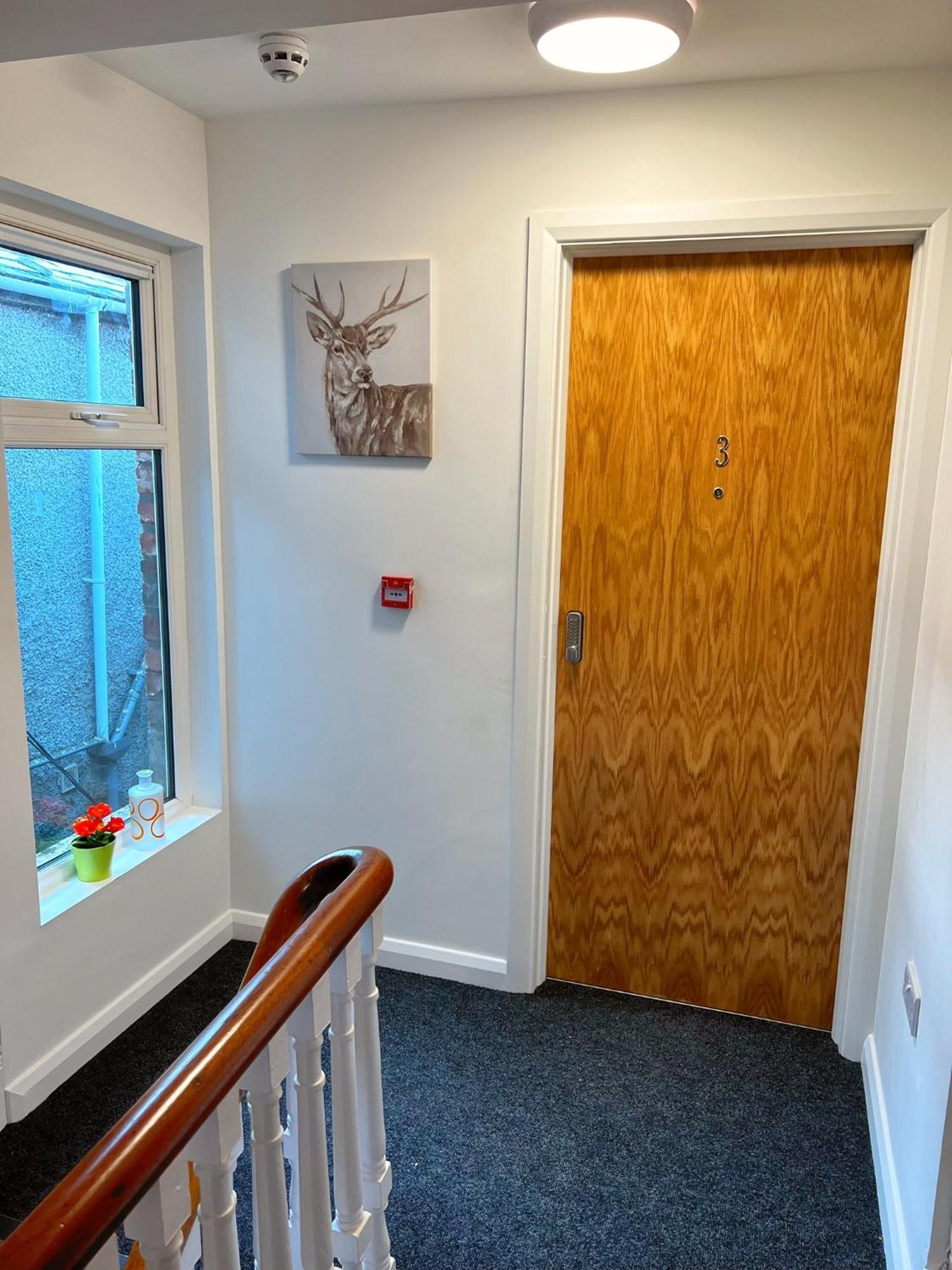Bangor Central Apartments المظهر الخارجي الصورة